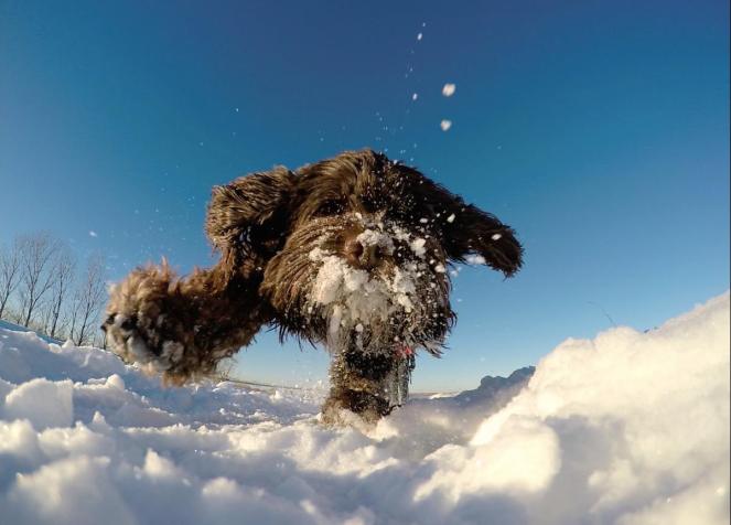 1888916_10104697424705053_2960186209198412960_o